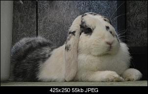 K�nigreich sucht neuen Prinz/Prinzessin! 2012-dsc02117.jpg