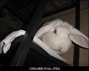 K�nigreich sucht neuen Prinz/Prinzessin! 2012-dsc02507.jpg