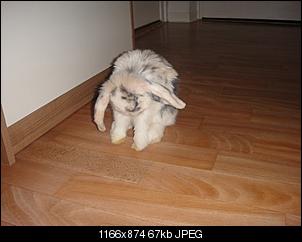 Tiere beim fressen!!!-dsc01258.jpg