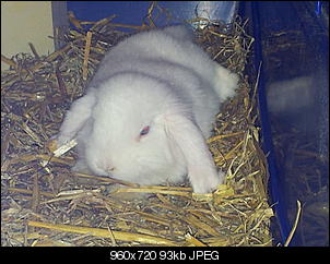 *Wer hat das S��este Nin?:)*-20120815_132232%5B1%5D.jpg