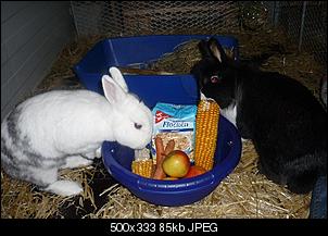 The Winner is...-fotos-2012-344.jpg