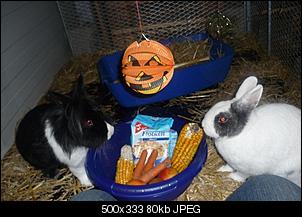 The Winner is...-fotos-2012-343.jpg