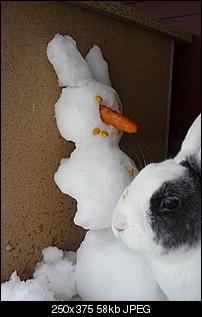 The Winner is...-lolly-luna-im-schnee-042.jpg