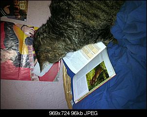 Supertier DSDST-img_0622%5B1%5D.jpg