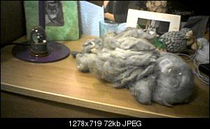 Rabbit Fur Futuretelling-bild023.jpg