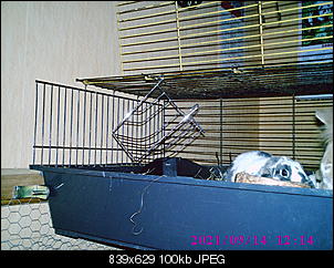 Dies-und-Das-pic00115.jpg