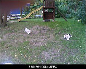 Ein fotoThread-img_0324.jpg