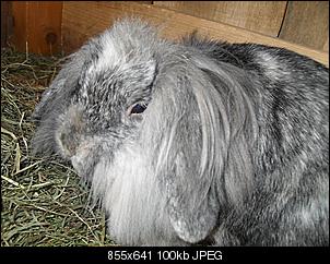 Ein fotoThread-ninis-047.jpg