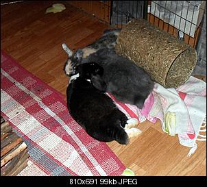 Ein fotoThread-sdc11231.jpg