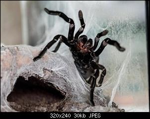 Was bin ich?-a77484a3-81dd-4a5f-abaa-61261c4b7025.jpeg
