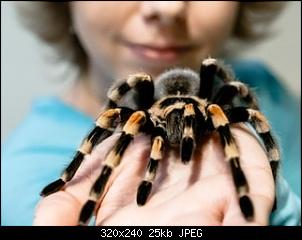 Was bin ich?-51d174fa-346c-4210-92b3-ef67ec400f4a.jpeg