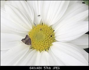 Errate den Gegenstand-1597311c-b3d4-4fe8-bdaa-326165cee53f.jpeg