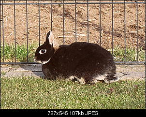 Ein fotoThread-sdc10042.jpg