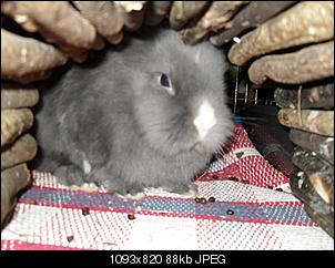 Ein fotoThread-sdc11521.jpg