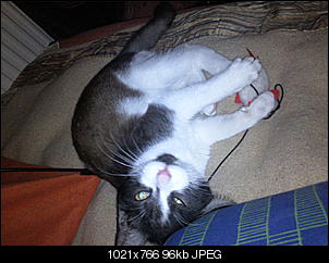 Fotothread der Schnuppernasen-foto1498.jpg