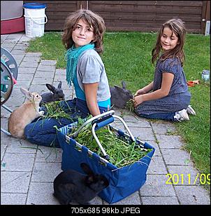 Feiertagsgr��e von den relaxten Ninchens-101_0900.jpg