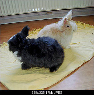 Hallo und Guten Abend ;)-04071dc_23.jpg