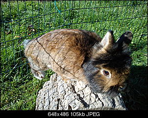 KSF-Wir stellen uns vor-dsc02299.jpg