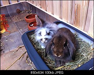 Leonie und Fienchen sagen: Haaalllooooo :-)-foto.jpg