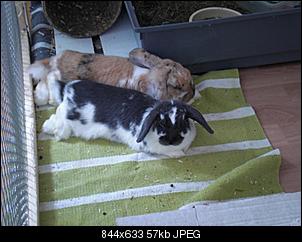 Love is in the air (unsere Geschichte)-cimg7267.jpg