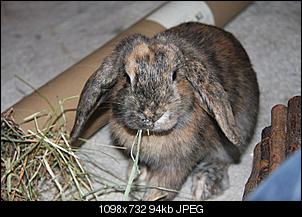 C�sar&Napoleon-img_1701_1.jpg