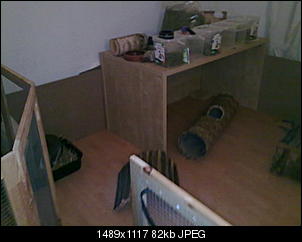 Familienzusammenf�hrung oder 4 Iren in Hannover-15012012823.jpg