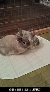 Kr�mel und Rambo =)-imag0176.jpg