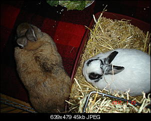 meine zwei-dsc00745.jpg
