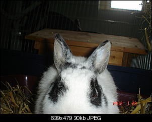 meine zwei-dsc00747.jpg