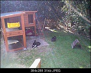 B�hne frei f�r Heidi und Fine-hni_0007.jpg