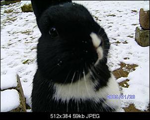 B�hne frei f�r Heidi und Fine-bild0119.jpg