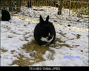B�hne frei f�r Heidi und Fine-bild0128.jpg