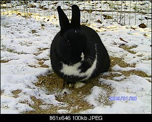 B�hne frei f�r Heidi und Fine-bild0129.jpg