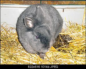 Damals und Heute-dscn1653-n.jpg