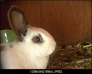 Hall�chen :)-benny-67-.jpg