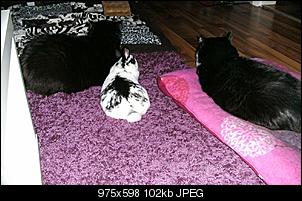 Schwaben Quartett-bild0068.jpg