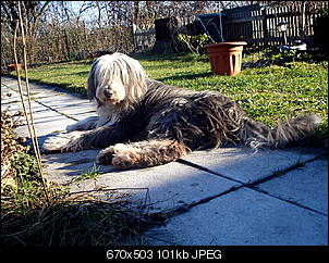 ~Applejacks Allerlei~-dsc00610.jpg
