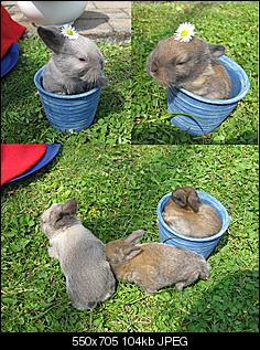 Bin neu hier =)-baby-3.jpg