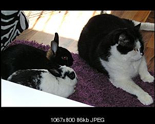 Schwaben Quartett-bild0071.jpg