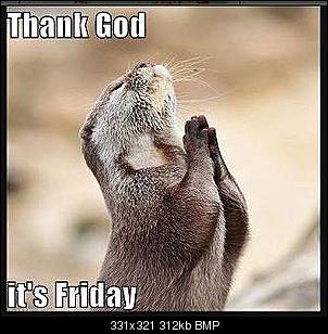 M�nnlich, ledig, jung sucht ....-friday.bmp