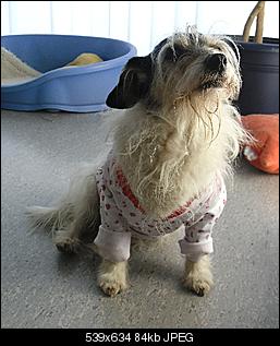 M�nnlich, ledig, jung sucht ....-daisy.jpg