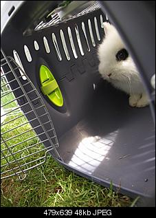 Chlo�& Max visit the garden^^-pict0013-480x640-.jpg