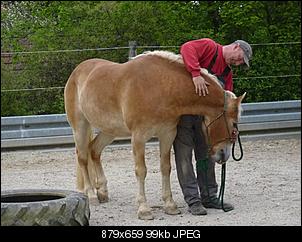 M�nnlich, ledig, jung sucht ....-hugo-schlumpf.jpg