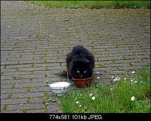 M�nnlich, ledig, jung sucht ....-dsc06172.jpg