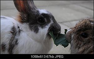 Juli&Oskar mit Isabella aus Taufkirchen-juli-oskar-kleines-foto.jpg