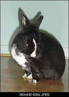 meine zwei-dsc00812.jpg