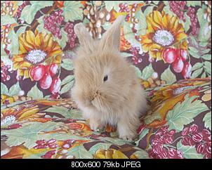 Halli Hallo-photofancy_679334_min.jpg