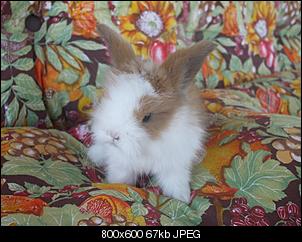 Halli Hallo-photofancy_679351_min.jpg