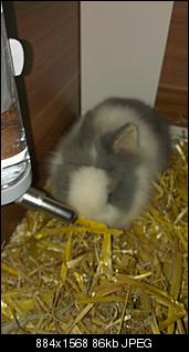 Klicke auf die Grafik f�r eine gr��ere Ansicht

Name:	IMAG0035.jpg
Hits:	63
Gr��e:	86,2 KB
ID:	15110