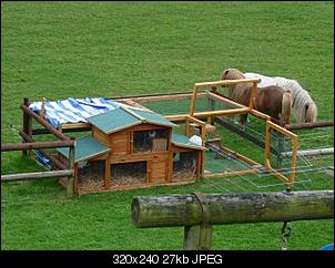 M�mmelchen & Lotty in action-p1030542%7E1.jpg